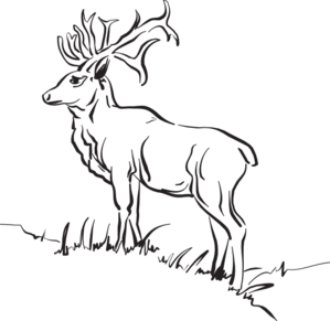 Deer Standing On A Slope Clip Art